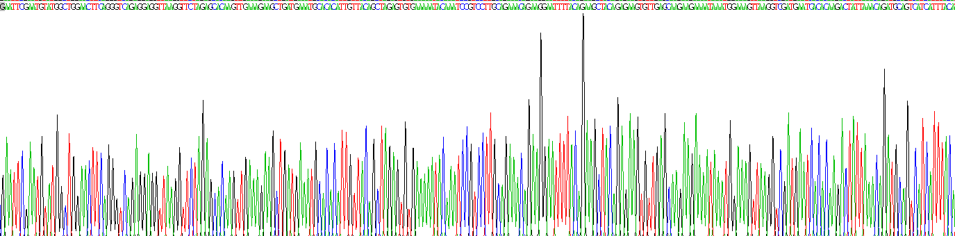 Recombinant Kinectin 1 (KTN1)