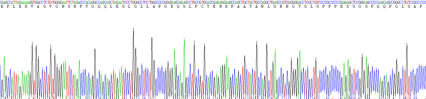 Recombinant Kisspeptin 1 (KISS1)