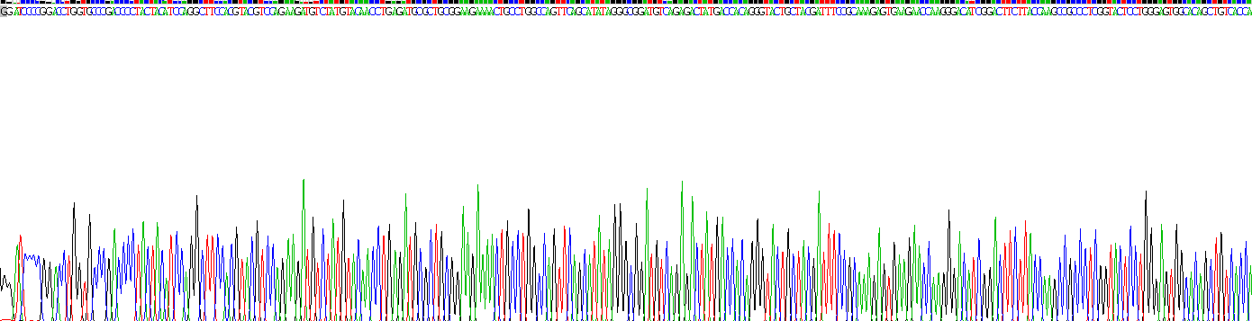 Recombinant Lysyl Oxidase (LOX)