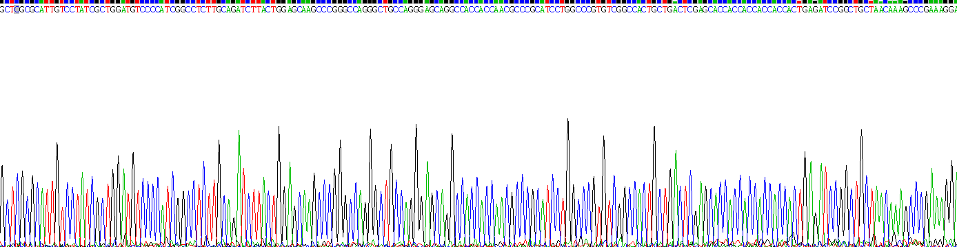 Recombinant Urocortin 2 (UCN2)