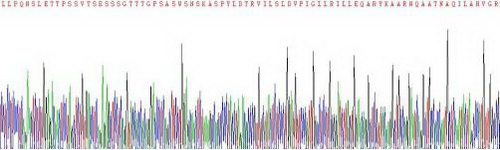 Recombinant Urocortin 2 (UCN2)