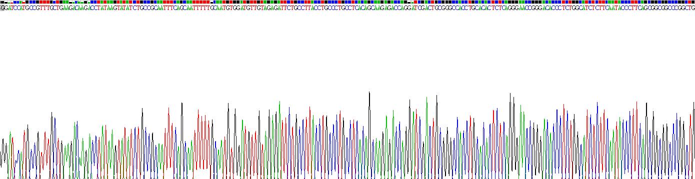 Recombinant Virus Induced Signaling Adapter (VISA)