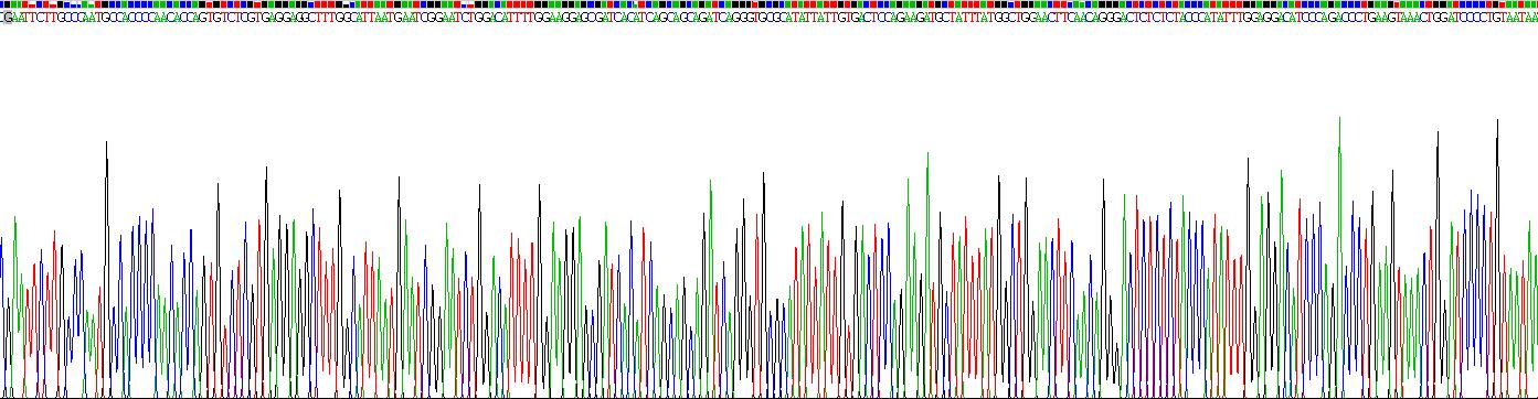 Recombinant Vanin 1 (VNN1)