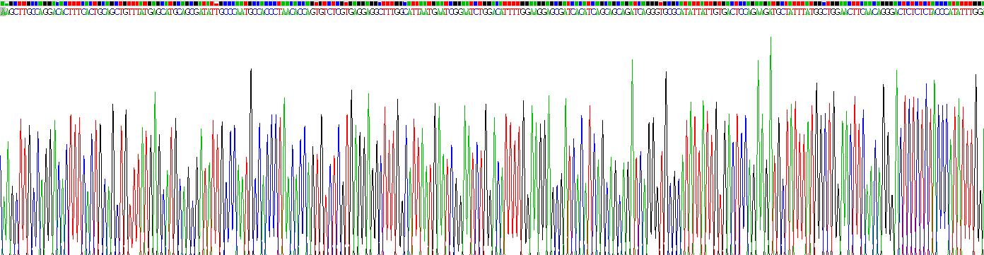 Recombinant Vanin 1 (VNN1)