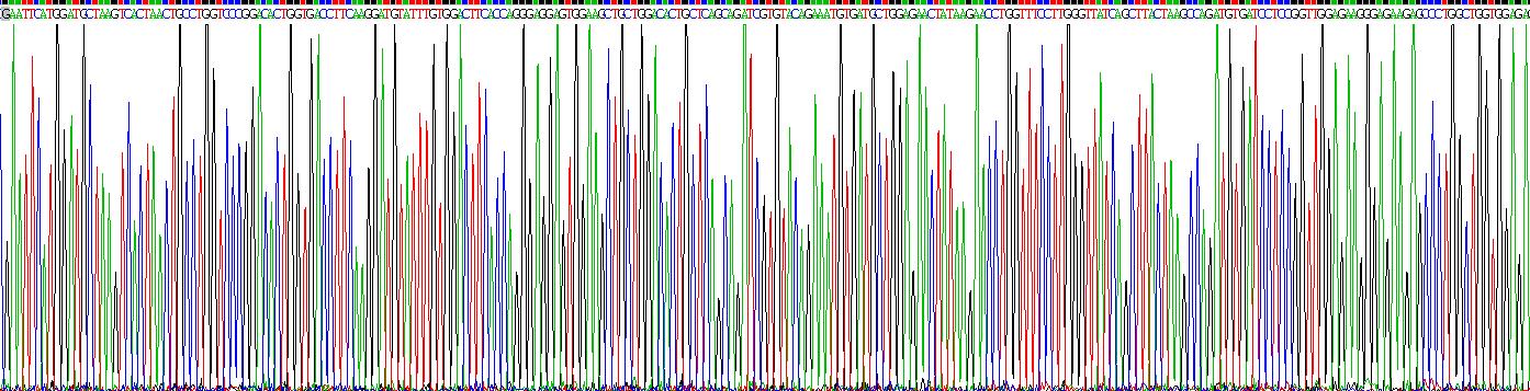 Recombinant Zinc Finger Protein 10 (ZNF10)