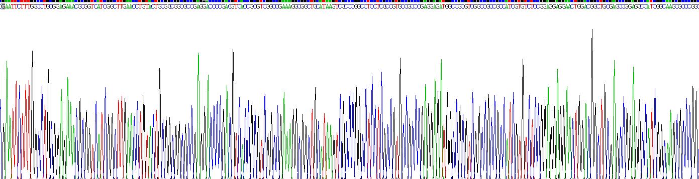 Recombinant Induced Myeloid Leukemia Cell Differentiation Protein Mcl-1 (MCL1)