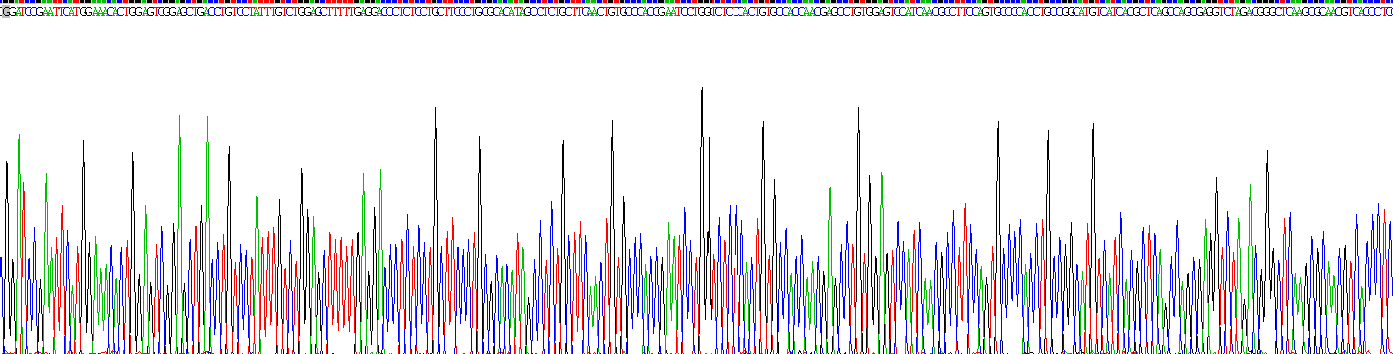 Recombinant Midline 1 (MID1)