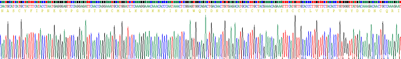 Recombinant Microseminoprotein Beta (MSMb)