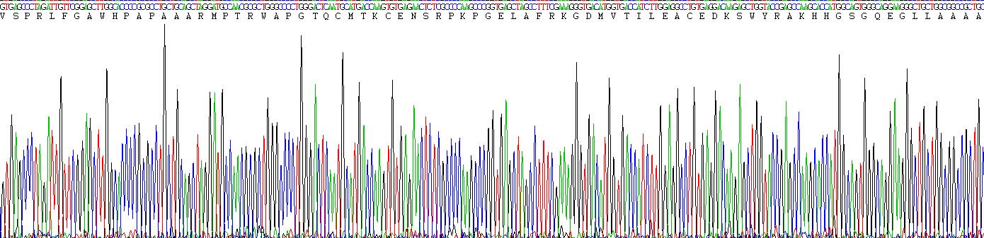 Recombinant Megakaryocyte Associated Tyrosine Kinase (MATK)