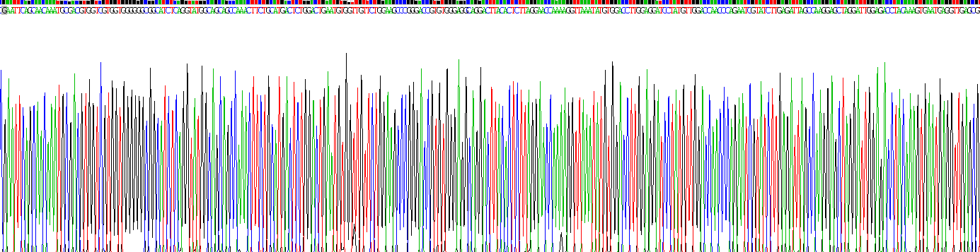 Recombinant Monoamine Oxidase B (MAOB)