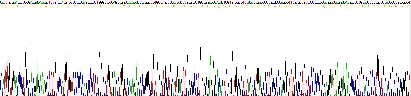 Recombinant Insulin Like Growth Factor Binding Protein 5 (IGFBP5)