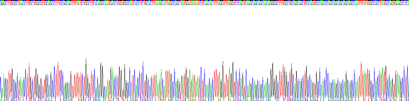 Recombinant Neuro Oncological Ventral Antigen 1 (NOVA1)