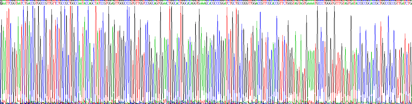 Recombinant Natriuretic Peptide Receptor 1 (NPR1)