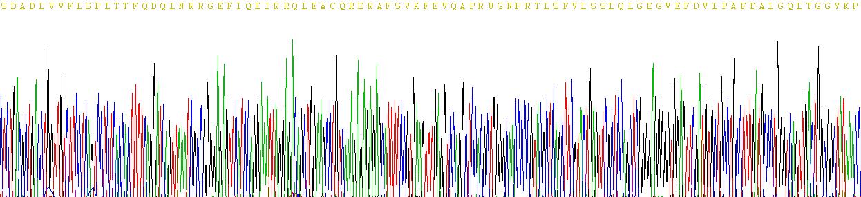 Recombinant 2',5'-Oligoadenylate Synthetase 1 (OAS1)