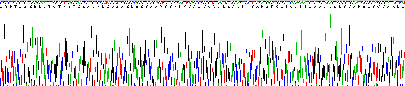 Recombinant Odorant Binding Protein 2A (OBP2A)