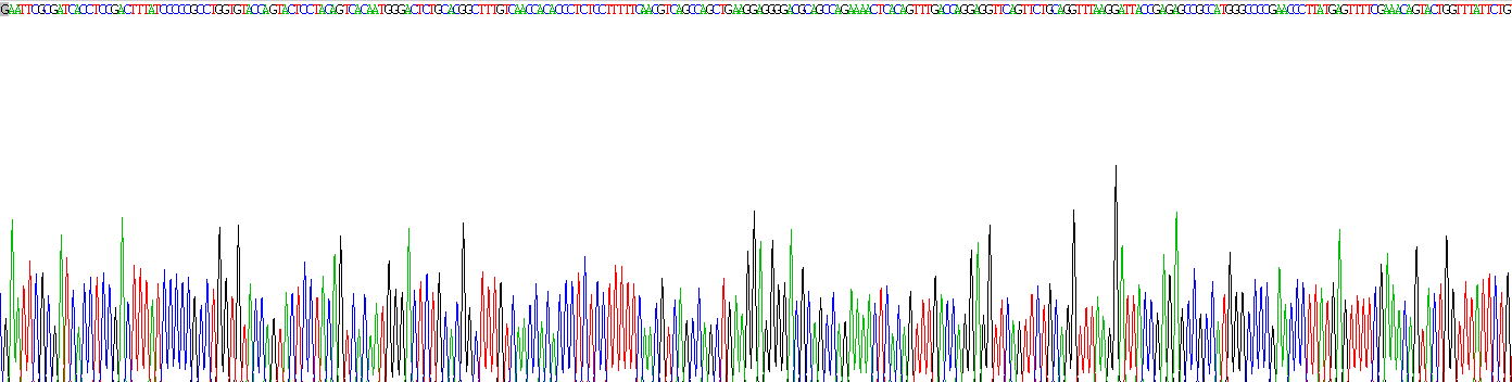 Recombinant Anoctamin 2 (ANO2)