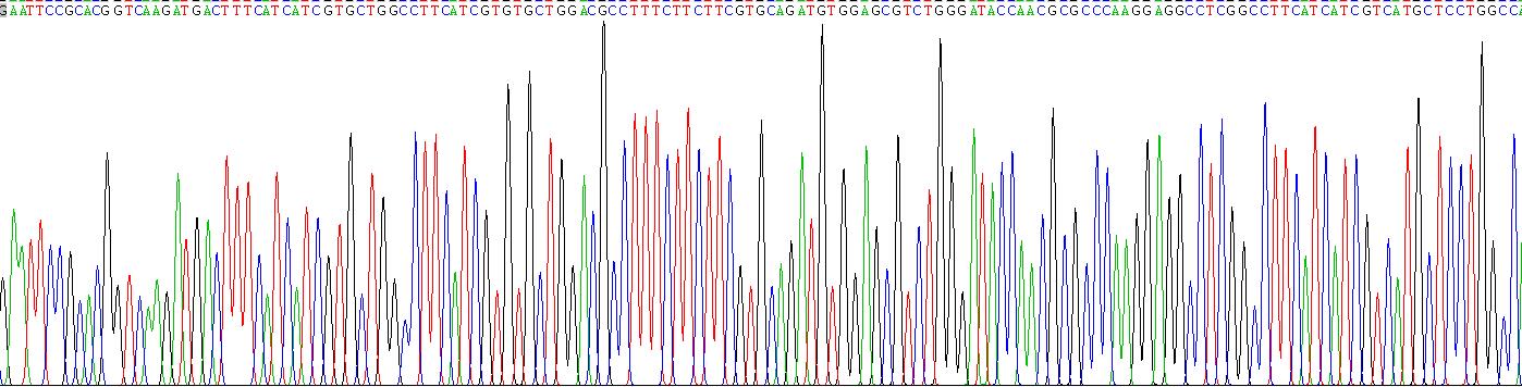 Recombinant Oxytocin Receptor (OXTR)