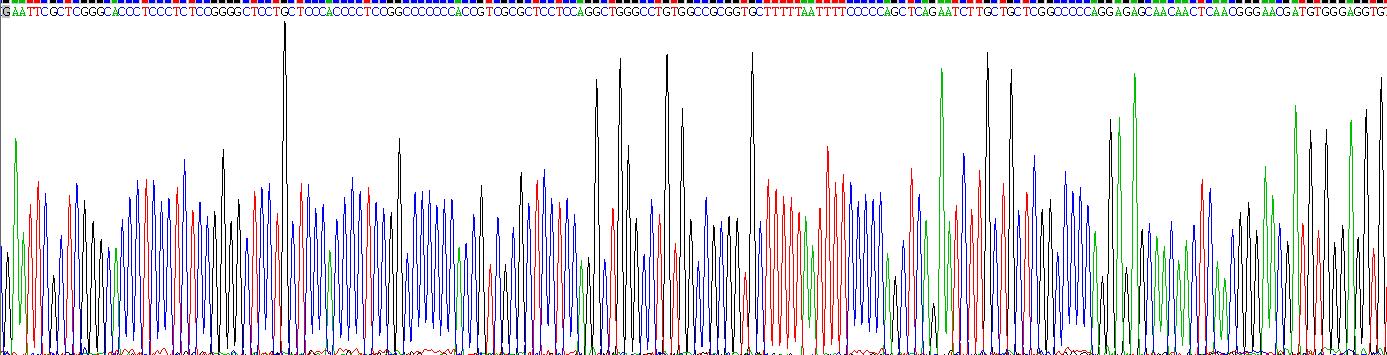 Recombinant Podoplanin (PDPN)