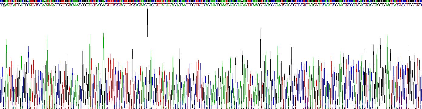 Recombinant Polypyrimidine Tract Binding Protein 1 (PTBP1)