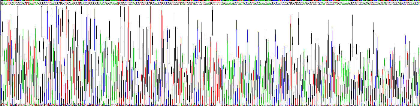 Recombinant Perilipin 1 (PLIN1)