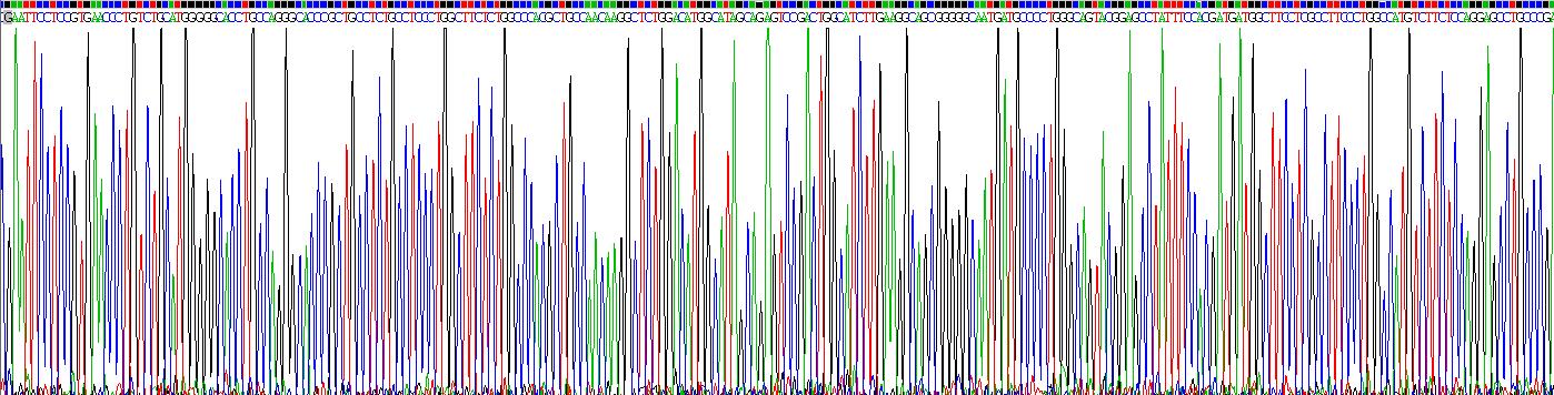 Recombinant Heparan Sulfate Proteoglycan 2 (HSPG2)