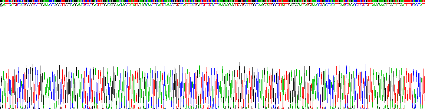 Recombinant Phenylalanine Hydroxylase (PAH)