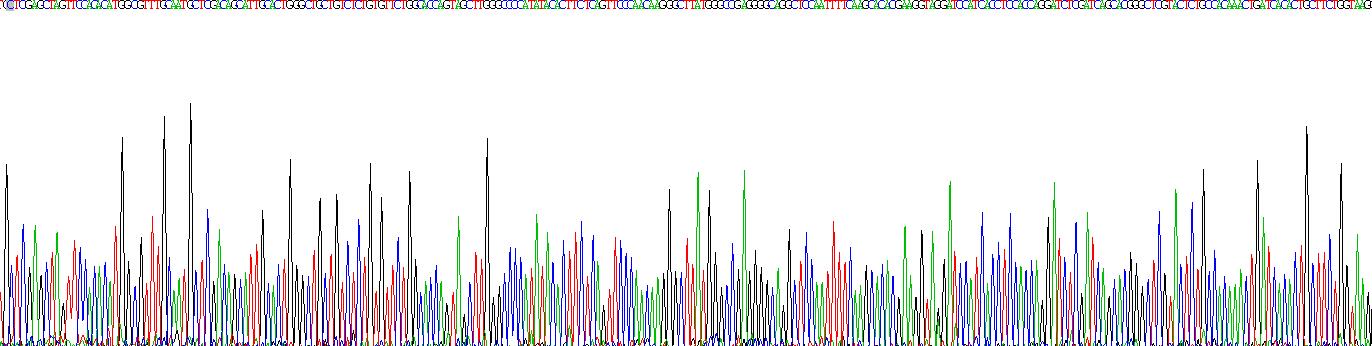 Recombinant Prosaposin (PSAP)