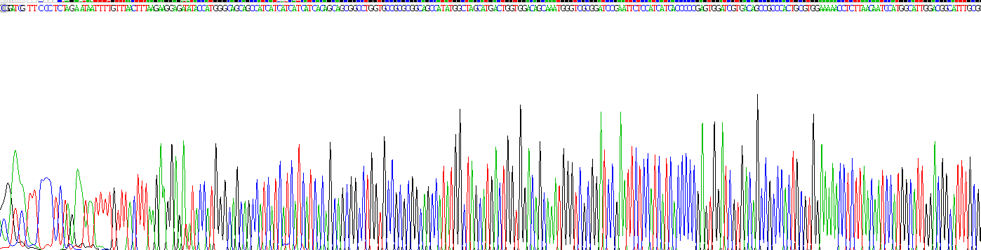 Recombinant Transmembrane Protease, Serine 2 (TMPRSS2)