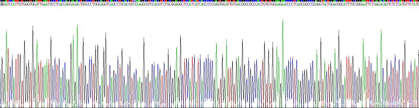 Recombinant Transmembrane Protease, Serine 2 (TMPRSS2)