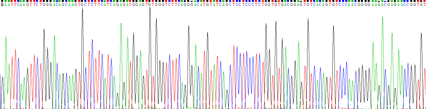 Recombinant Transmembrane Protease, Serine 2 (TMPRSS2)