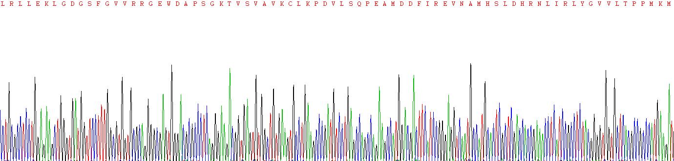 Recombinant Tyrosine Kinase, Non Receptor 2 (TNK2)