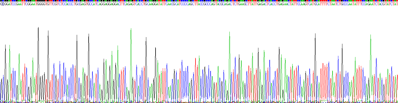 Recombinant Thyroid Stimulating Hormone Receptor (TSHR)