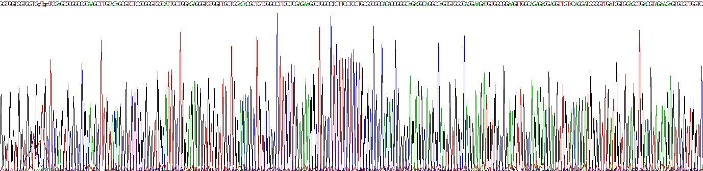 Recombinant Neurotensin Receptor 1, High Affinity (NTSR1)