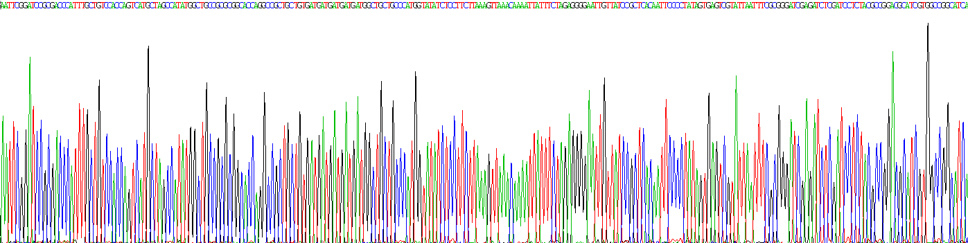 Recombinant Twist Transcription Factor (TWIST)