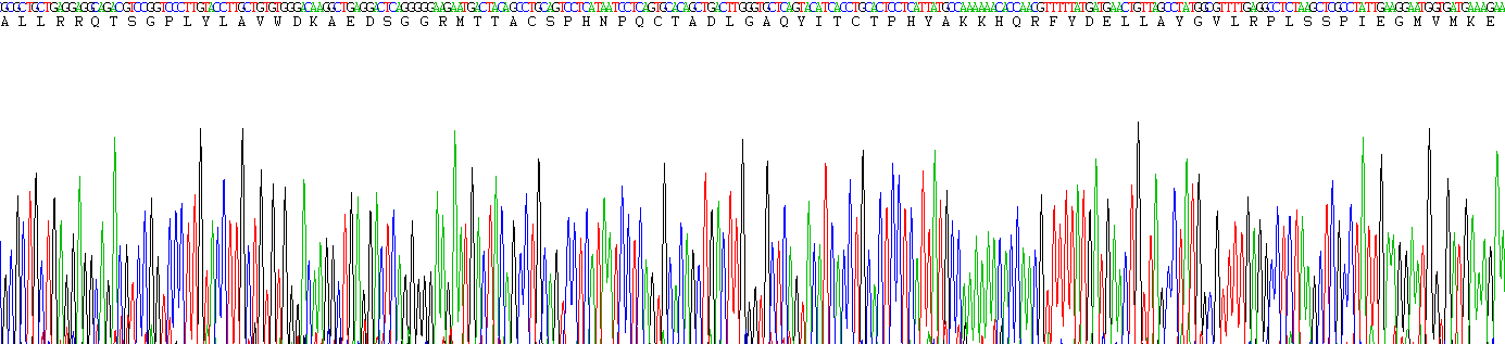 Recombinant Renalase (RNLS)