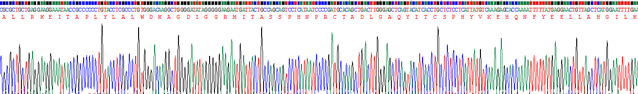 Recombinant Renalase (RNLS)