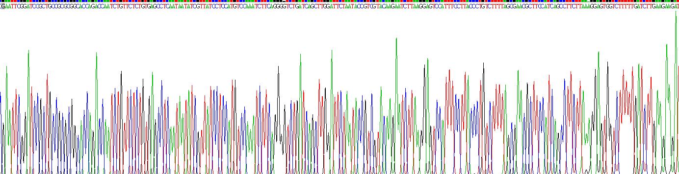 Recombinant Sclerostin (SOST)