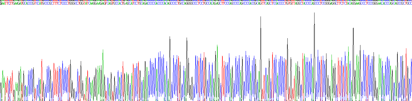 Recombinant Sterol Regulatory Element Binding Transcription Factor 1 (SREBF1)