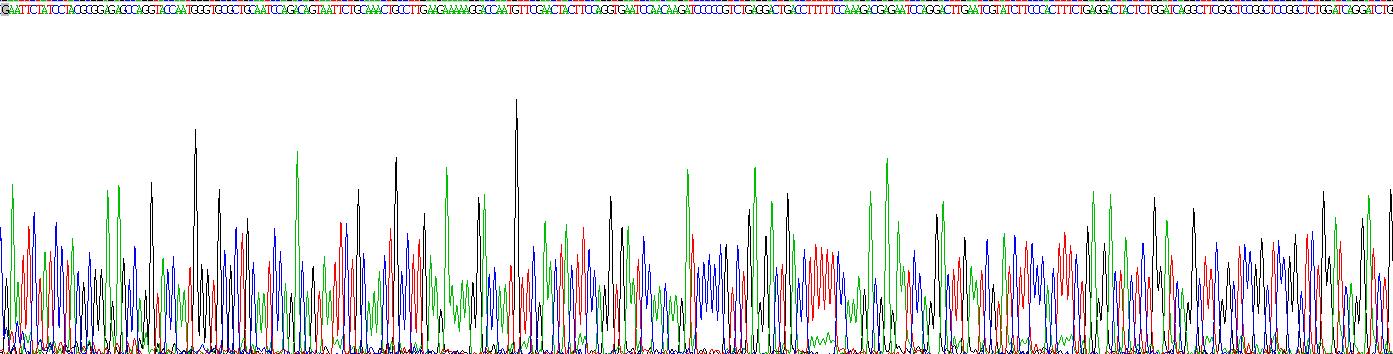 Recombinant Serglycin (SRGN)