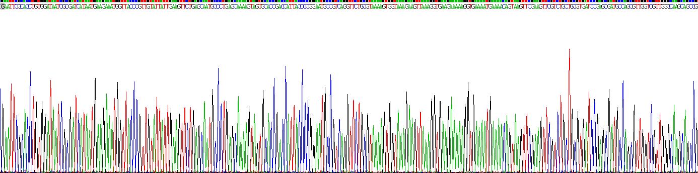 Recombinant Chromogranin B (CHGB)