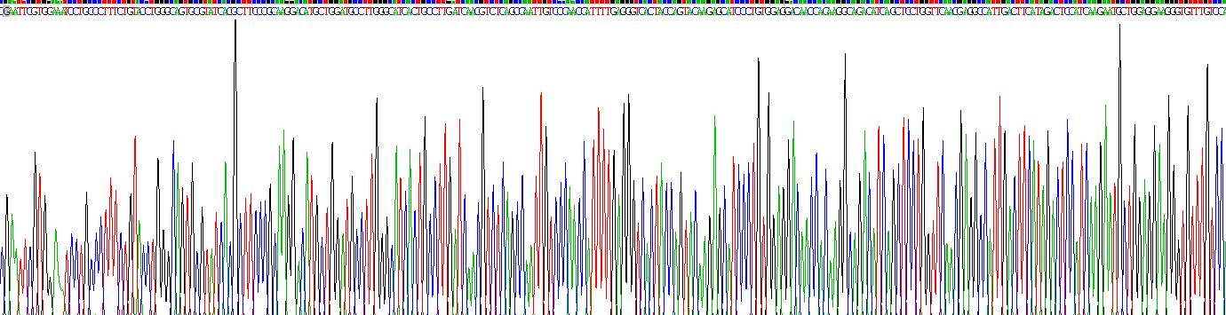 Recombinant Dual Specificity Phosphatase 1 (DUSP1)