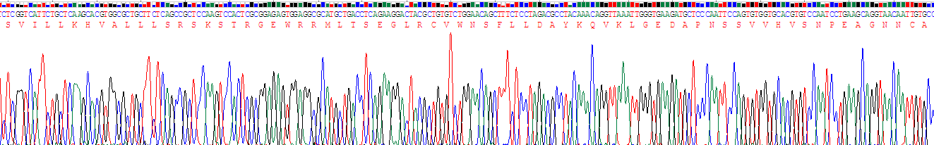 Recombinant Deiodinase, Iodothyronine, Type II (DIO2)