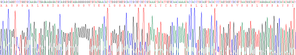 Recombinant Fibroblast Growth Factor 3 (FGF3)