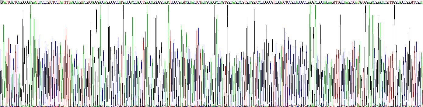 Recombinant Fibroblast Growth Factor 17 (FGF17)