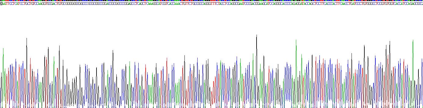 Recombinant Fibroblast Growth Factor 11 (FGF11)