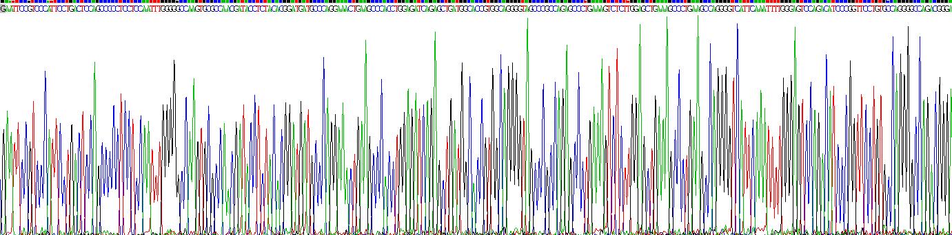 Recombinant Fibroblast Growth Factor 21 (FGF21)