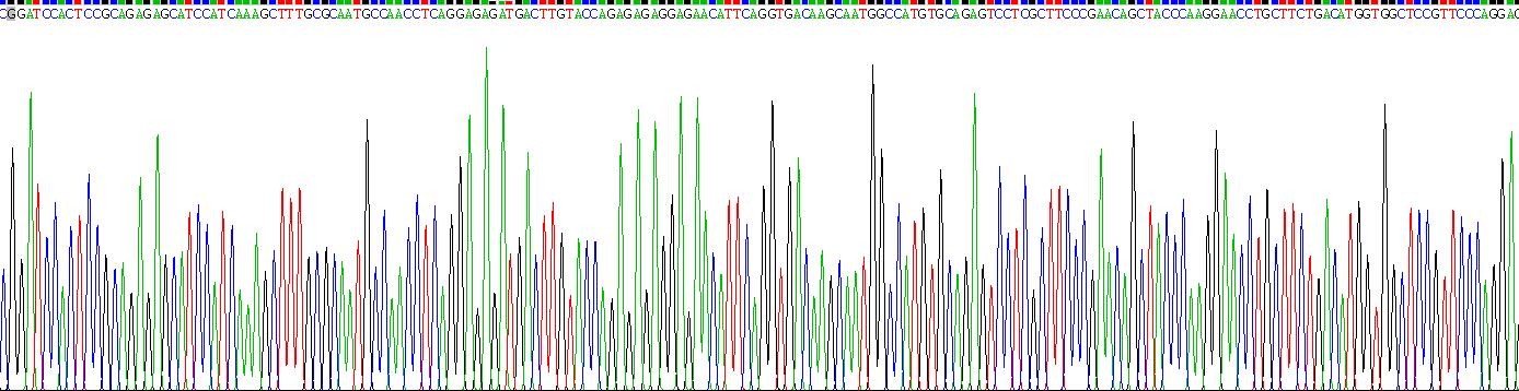 Recombinant Platelet Derived Growth Factor D (PDGFD)