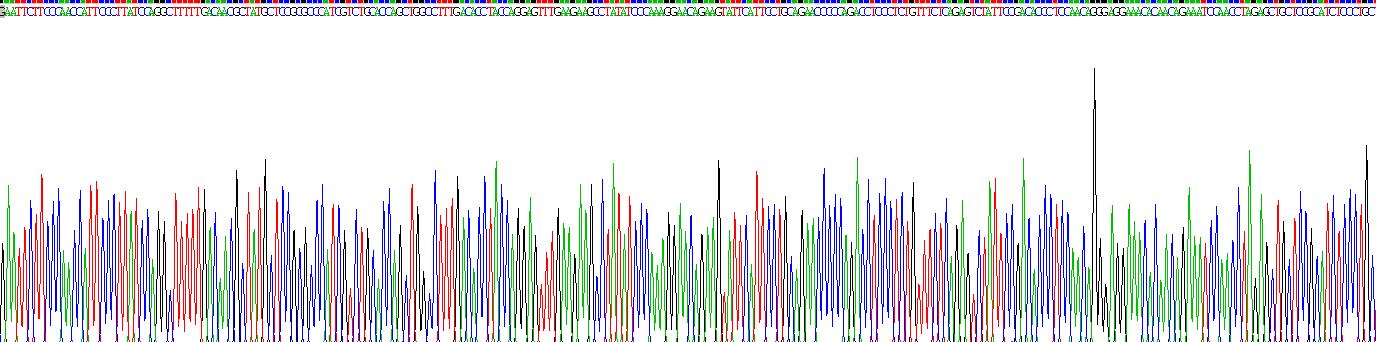 Recombinant Growth Hormone 2 (GH2)