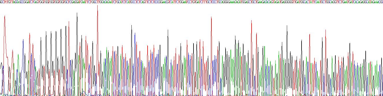 Recombinant Neuropeptide S Receptor (NPSR)