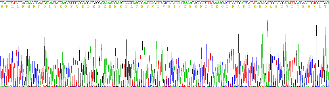 Recombinant Protease Activated Receptor 1 (PAR1)